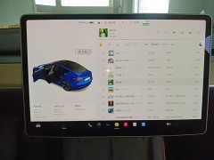 Tesla Model 3 Standard Range RWD Upgrade - ფოტო 12