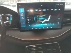 BYD Yuan Plus DM-i 2021 112KM Premium Edition - ფოტო 12