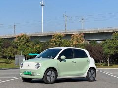 ORA Black Cat Facelift 301km Pet-Lover Edition LFP Battery - ფოტო 1