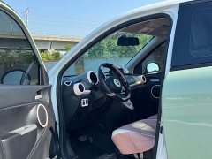 ORA Black Cat Facelift 301km Pet-Lover Edition LFP Battery - ფოტო 10
