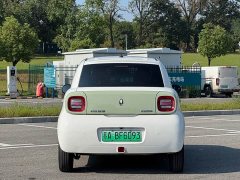 ORA Black Cat Facelift 301km Pet-Lover Edition LFP Battery - ფოტო 15