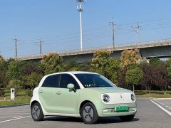 ORA Black Cat Facelift 301km Pet-Lover Edition LFP Battery - ფოტო 3