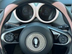 ORA Black Cat Facelift 301km Pet-Lover Edition LFP Battery - ფოტო 4