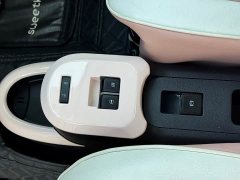 ORA Black Cat Facelift 301km Pet-Lover Edition LFP Battery - ფოტო 6
