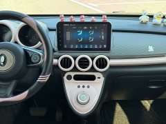 ORA Black Cat Facelift 301km Pet-Lover Edition LFP Battery - ფოტო 7