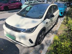 BYD Dolphin 2025 Smart Drive 410km Fashion Edition - ფოტო 1