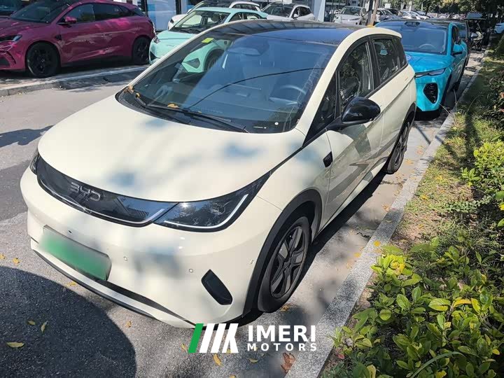 BYD Dolphin Smart Drive 410km Fashion Edition