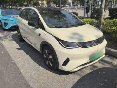 BYD Dolphin 2025 Smart Drive 410km Fashion Edition - ფოტო 7