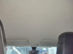 Wuling Hongguang MINIEV 2020 Deluxe Edition LFP Battery - ფოტო 18