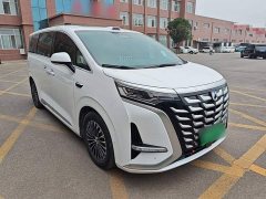 Denza BYD Denza D9 DM-i Smart Drive 1020 AWD Premium - ფოტო 3