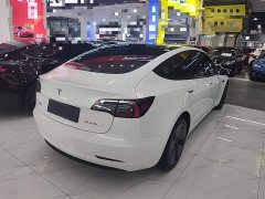 Tesla Model 3 2022 Rear-Wheel Drive - ფოტო 6