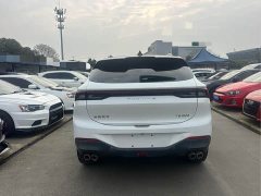 Dongfeng Fengxing T5 EVO 1.5T Diesel DCT Platinum Edition - ფოტო 5