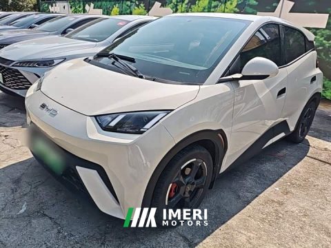 2023 BYD Seagull Flying Edition - ავტომობილი ჩინეთიდან