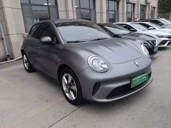 ORA Good Cat 430km Deluxe Edition - ფოტო 3