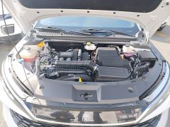 BYD Qin L 2024 DM-i 80KM Elite - ფოტო 19