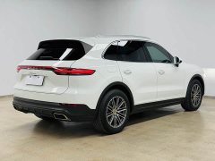 Porsche 2019 Cayenne 3.0T - ფოტო 18