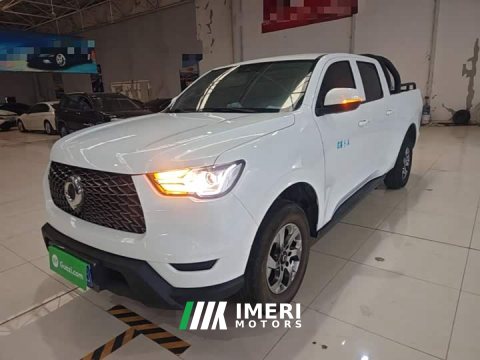 2022 Ora Poer 2021 2.0T Commercial Manual Gasoline Two-Wheel Drive Elite Long Box GW4C20B - ავტომობილი ჩინეთიდან