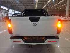 Ora Poer 2021 2.0T Commercial Manual Gasoline Two-Wheel Drive Elite Long Box GW4C20B - ფოტო 5