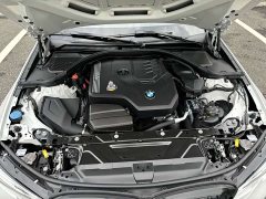 BMW 3 Series Facelift 325Li M Sport Night Edition Package - ფოტო 13