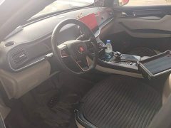 BYD Qin Plus DM-i 55KM Flagship - ფოტო 15