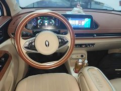 ORA Good Cat 2023 501km Long Range Luxury Lithium Iron Phosphate - ფოტო 13