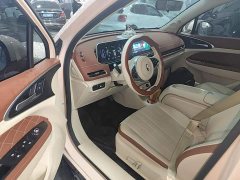 ORA Good Cat 2023 501km Long Range Luxury Lithium Iron Phosphate - ფოტო 15