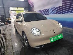 ORA Good Cat 2023 501km Long Range Luxury Lithium Iron Phosphate - ფოტო 3