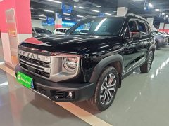 Great Wall Dachshund 1.5T DCT Border Collie Edition - ფოტო 1
