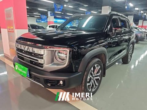 2024 Great Wall Dachshund 1.5T DCT Border Collie Edition - ავტომობილი ჩინეთიდან