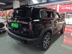Great Wall Dachshund 1.5T DCT Border Collie Edition - ფოტო 6