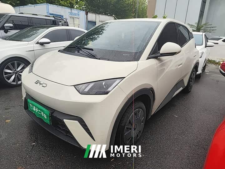 BYD Seagull Glory Edition 305km Vitality Version