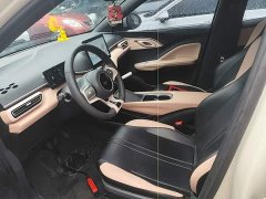 BYD Seagull Glory Edition 305km Vitality Version - ფოტო 14