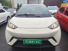 BYD Seagull Glory Edition 305km Vitality Version - ფოტო 2