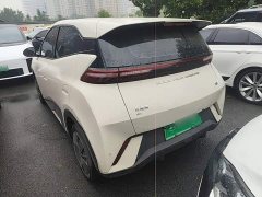 BYD Seagull Glory Edition 305km Vitality Version - ფოტო 4