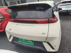 BYD Seagull Glory Edition 305km Vitality Version - ფოტო 5