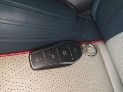BYD Yuan Plus 430KM Premium Edition - ფოტო 8