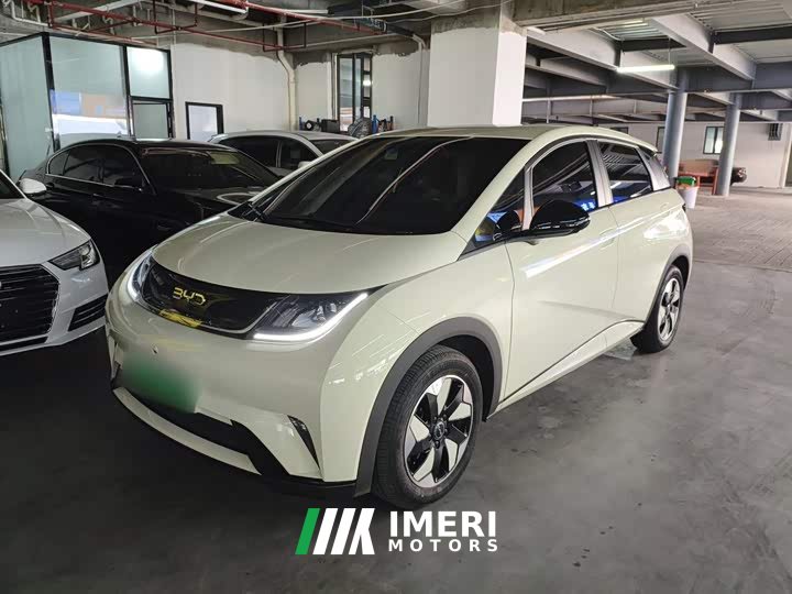 BYD Dolphin 420km Freedom Edition - ავტომობილი ჩინეთიდან