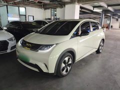 BYD Dolphin 420km Freedom Edition - ფოტო 1