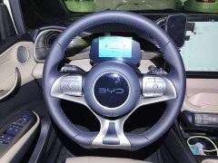 BYD Dolphin 420km Freedom Edition - ფოტო 10