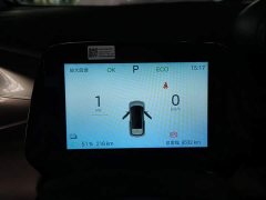 BYD Dolphin 420km Freedom Edition - ფოტო 11