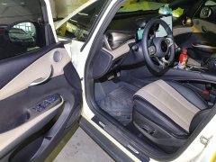 BYD Dolphin 420km Freedom Edition - ფოტო 15