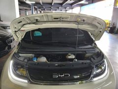 BYD Dolphin 420km Freedom Edition - ფოტო 19