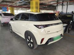 BYD Dolphin 420km Freedom Edition - ფოტო 4