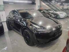 Tesla Model Y 2023 Rear-Wheel Drive - ფოტო 4