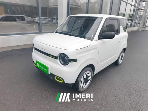 2025 Geely Panda Mini 210km Vitality Edition