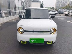 Geely Panda Mini 210km Vitality Edition - ფოტო 3