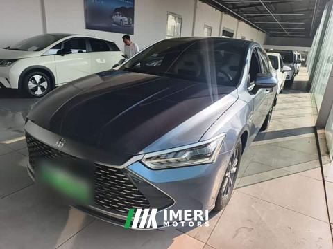 2024 BYD Qin PLUS Glory Edition DM-i 55KM Leading