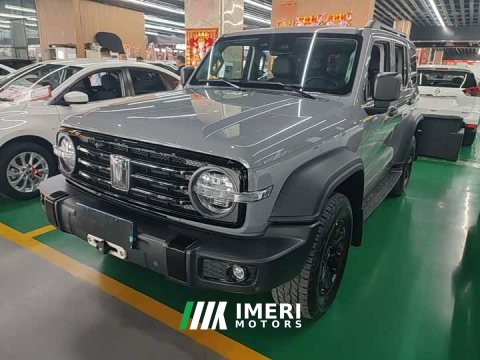 2022 Tank 300 2021 Off-Road Edition 2.0T Conqueror - ავტომობილი ჩინეთიდან