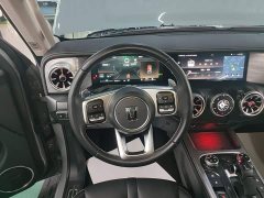 Tank 300 2021 Off-Road Edition 2.0T Conqueror - ფოტო 10