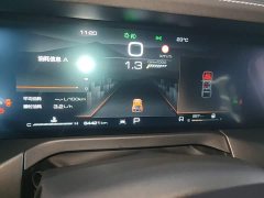 Tank 300 2021 Off-Road Edition 2.0T Conqueror - ფოტო 11